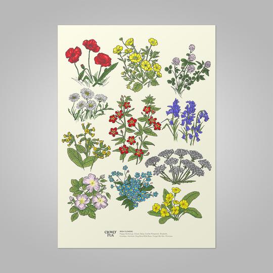 Irish Wildflowers A4 Irish Design Print