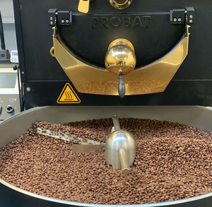 Full Circle Speciality Coffee - Brazil 1Kg Beans