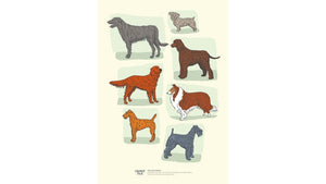 Irish Dog Breeds - Irish Degisn A4 Print